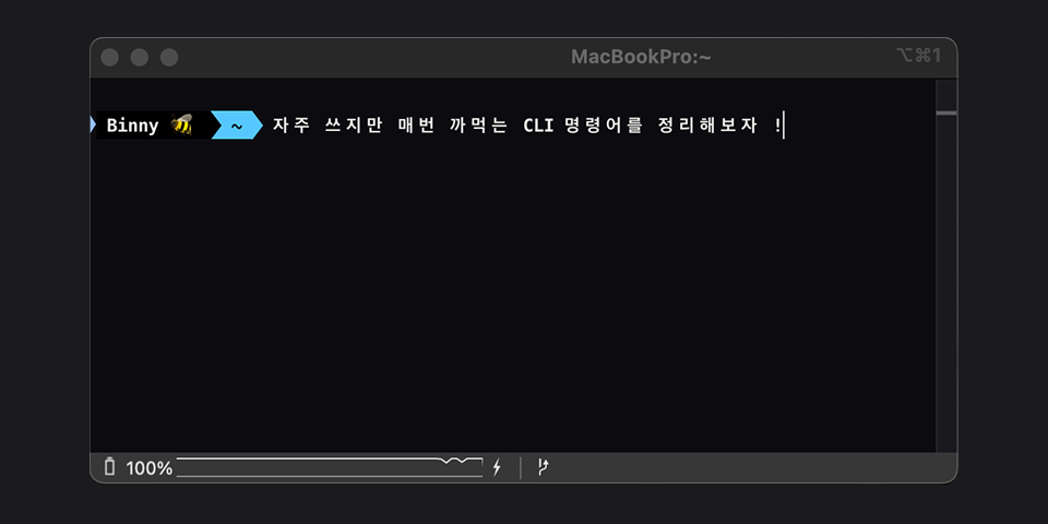 binnyterminal
